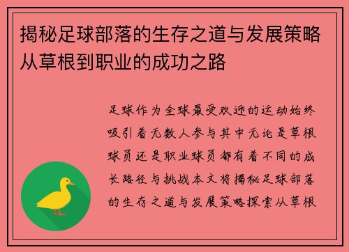 揭秘足球部落的生存之道与发展策略从草根到职业的成功之路