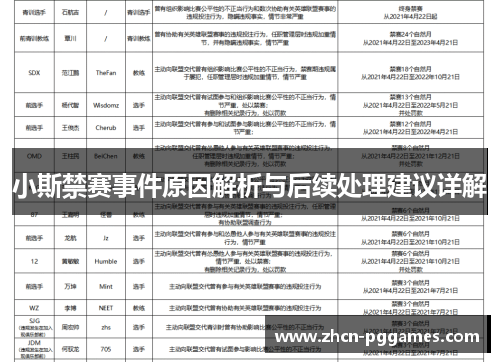 小斯禁赛事件原因解析与后续处理建议详解