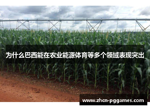 为什么巴西能在农业能源体育等多个领域表现突出