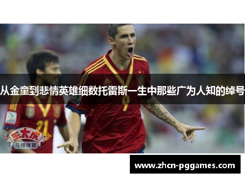 从金童到悲情英雄细数托雷斯一生中那些广为人知的绰号