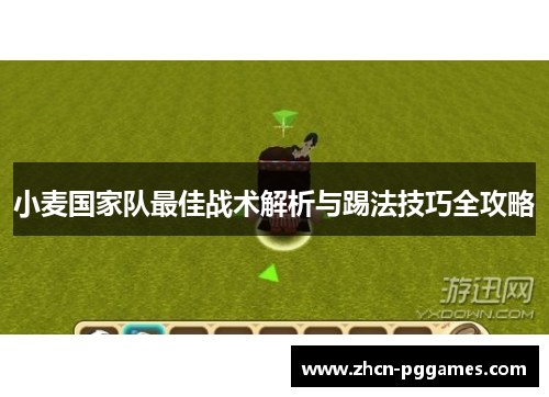 小麦国家队最佳战术解析与踢法技巧全攻略